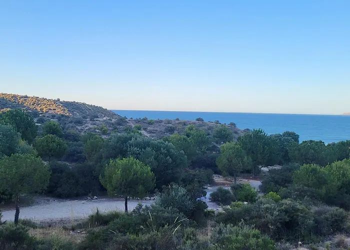 La Casa Alegre 펜션 *