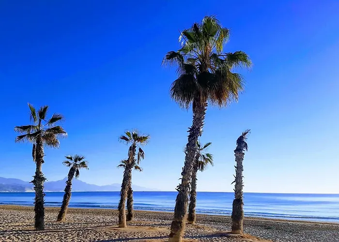 La Casa Alegre 펜션 *