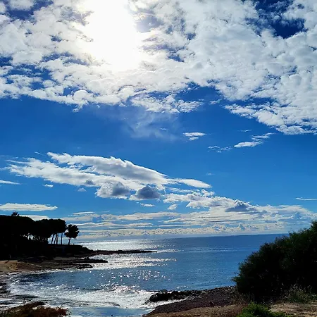 La Casa Alegre Alicante